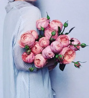 Фото на аву | Photo ideas girl, Instagram ideas photography, Photo styling