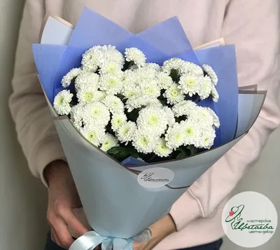 Популярные цветы на 8 марта — какие цветы самые популярные для мамы, жены,  дочки