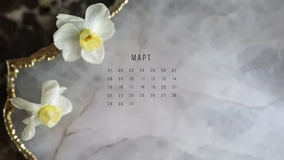 Народный календарь и традиции. 13-19 марта