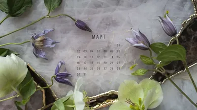Стало известно, сколько дней узбекистанцы отдохнут в марте