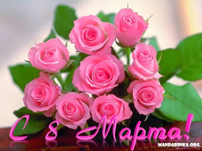 Скачать обои 8 марта вазы с цветами на рабочий стол из раздела картинок 8  Марта