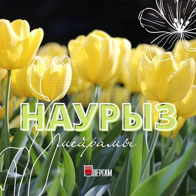 Круглый стол «Семейные традиции — праздник «Наурыз»