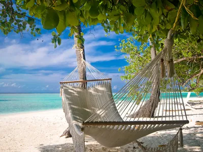 Пляжный отдых для всех | Лучшие места под солнцем | Забронируйте прямо  сейчас