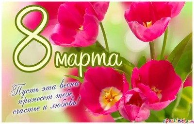 Пензенские женщины встречают 8 марта с цветами и поздравлениями от мужчин —  Общество — Пенза СМИ