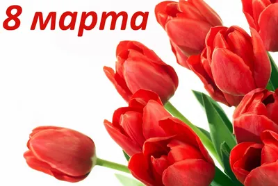 С ПРАЗДНИКОМ 8 МАРТА, ДОРОГИЕ ЖЕНЩИНЫ!