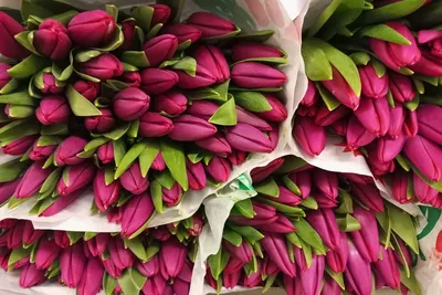 Как сэкономить при покупке цветов 8 марта?