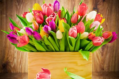 Букет из 7 тюльпанов “8 марта” | Мон Амур доставка цветов в Челябинске!  Цветы акция!