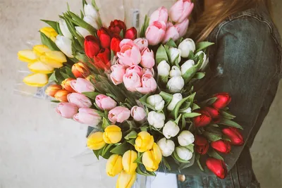 Тюльпаны к 8 марта - почему так популярны? - Vip Rose