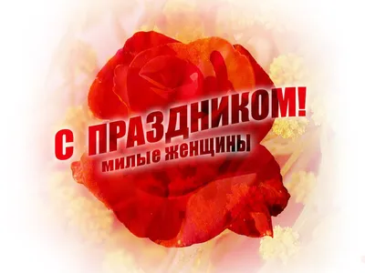 8 марта — День женщин. Поздравление от руководства района - Круглое NEWS