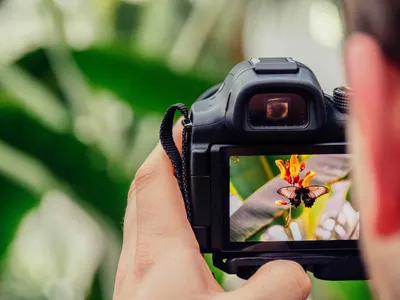 Как понять, что у тебя получится работать фотографом?