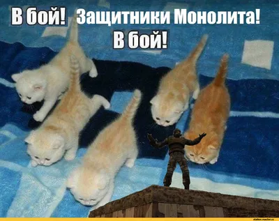 приколы #шутки #юмор #ржака #смешно #фотоприколы #фотоприкол #ржач #дослёз  #funny #pics #hilarious #photo | Instagram