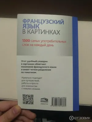 Книга Издательство КАРО Французский язык. Лексика в картинках 2-3 класс  купить по цене 363 ₽ в интернет-магазине Детский мир