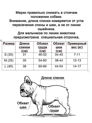Толстовка худи для собаки с капюшоном, демисезонная одежда для животных, французский  бульдог - купить с доставкой по выгодным ценам в интернет-магазине OZON  (714027737)