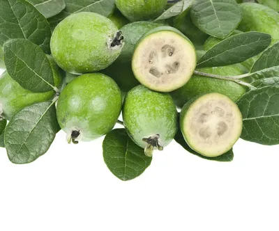 Зеленый фрукт фейхоа на белом фоне Стоковое Изображение - изображение  насчитывающей вкусно, сочно: 163645831