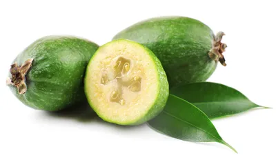 Полезные фрукты - Фейхоа (Feijoa, Pineapple Guava, Акка... | Facebook