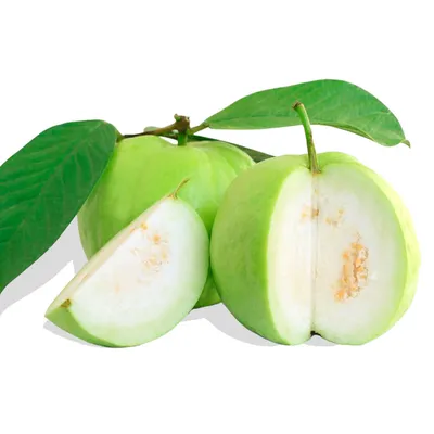 Гуава фрукт с листом, изолированным на белом Стоковое Изображение -  изображение насчитывающей тропическо, ломтик: 155698473