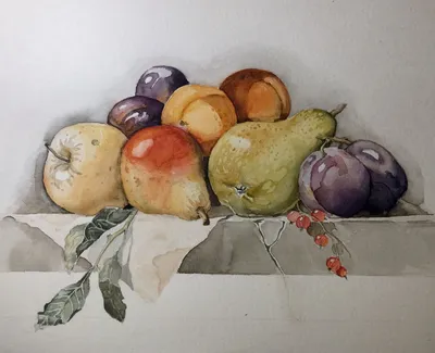 Акварель, фрукты, натюрморт, художка, яблоко, груша, слива, красная  смородина, листья, абрикос | Акварельные иллюстрации, Рисунки,  Художественные картины