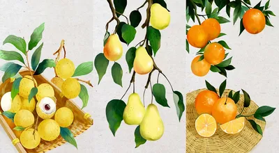 Модульная картина Акварельные фрукты на стену – Купить в интернет магазине  недорого | Фото и Цены в каталоге allstick.ru