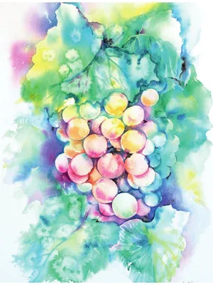 Рисунок акварелью, натюрморт, фрукты …» — создано в Шедевруме
