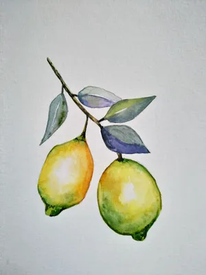 Красивые рисунки фрукты акварелью, лёгкие картинки