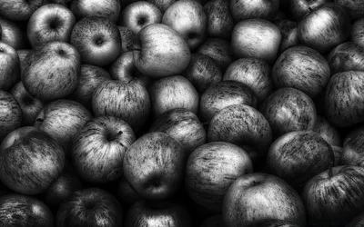 черно-белые фрукты и ягоды иллюстрация вектора. иллюстрации насчитывающей  каракули - 231740478