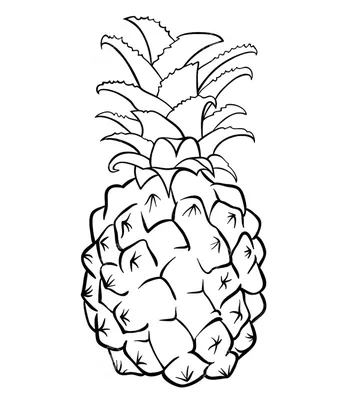 Свежие фрукты здоровые черно-белые руки нарисованы Векторное изображение  ©jemastock 278913434