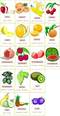 Фрукты и овощи на английском с картинками
