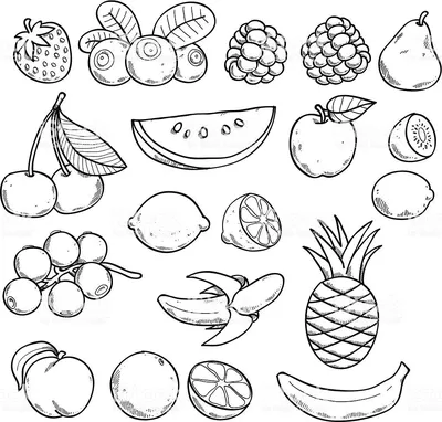 Рисунки для срисовки в скетчбук фрукты (70 фото) ✏