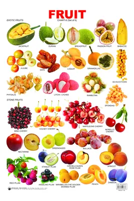 Все фрукты по алфавиту (61 фото) »
