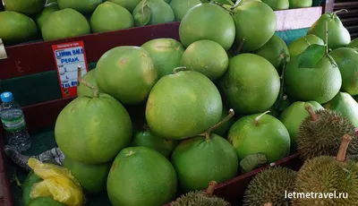 Какие экзотические фрукты можно попробовать в Тайланде?