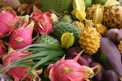 Экзотические фрукты Таиланда. Названия фото описание и свойства.