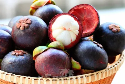 Экзотические фрукты фото с названиями из Тайланда.