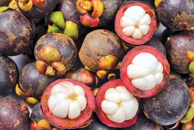 Какие экзотические фрукты можно попробовать в Тайланде?