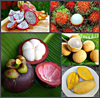 Заказать фрукты из Тайланда с доставкой - интернет магазин FCDelivery.ru