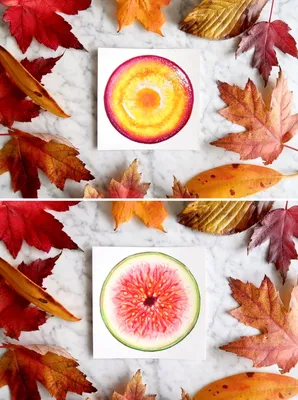 Экзотические фрукты в разрезе: как это выглядит на новогоднем столе?