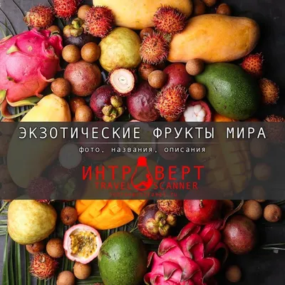 Экзотические фрукты, которые хотелось бы попробовать.