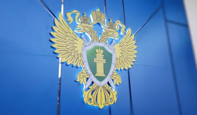 Фуражка офисная серо-синего цвета (для сотрудников ФСИН РФ)