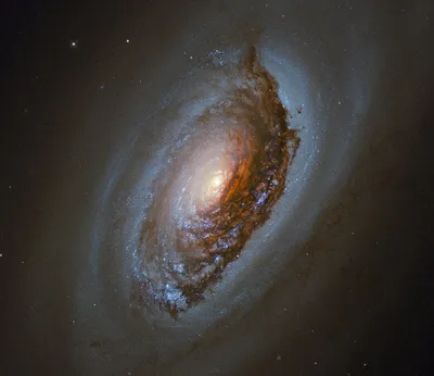 Чёрный Глаз (галактика) — Википедия