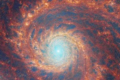 Телескоп Уэбба прислал максимально четкие снимки галактики Водоворот -  Российская газета