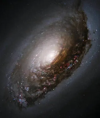 Ученые определили, какой формы наша галактика | Стайлер