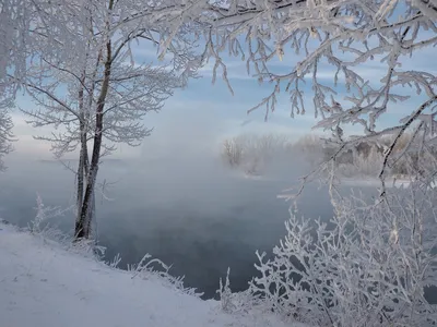 Прекрасные картинки с Галиной Мороз