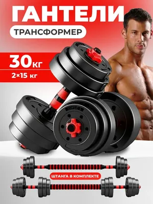 Гантели разборные и штанга 30 кг FitnessLive 16264349 купить за 3 676 ₽ в  интернет-магазине Wildberries