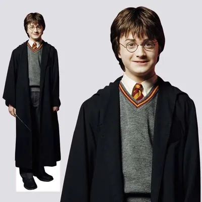 Ростовая фигура Гарри Поттер (Harry-Potter) вид 2 (518x1600 мм) - купить по  выгодной цене | Магазин шаблонов Принт100