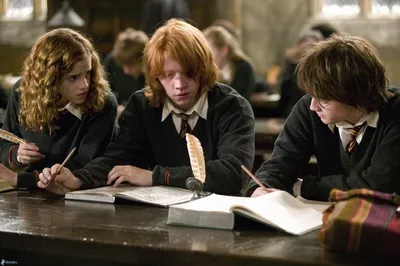 Актёры «Гарри Поттера»: тогда и сейчас | Фото | Культура | Аргументы и Факты