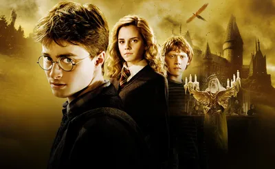 Гарри Поттер 20 лет спустя: Возвращение в Хогвартс, 2022 — описание,  интересные факты — Кинопоиск