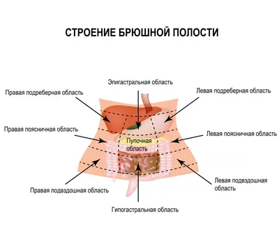 Где находится аппендицит? [286] - YouTube