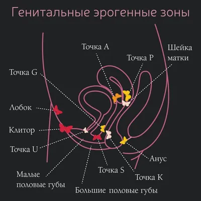 Где находится мужская точка G