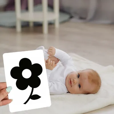 Черно белые карточки для новорожденных 0+ \"Гляделки\" (для малышей с  рождения до 2-х лет) - купить с доставкой по выгодным ценам в  интернет-магазине OZON (987629715)