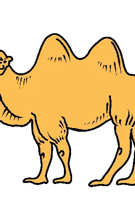 Тест на внимательность: на картинке есть верблюд, причем не один, но только  у единиц получается найти всех загаданных животных | УГАДАЙка | Дзен