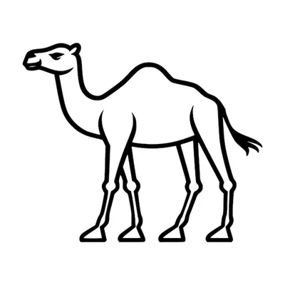 Купить семейная настольная игра Фортуна Али Баба и непослушный верблюд,  цены на Мегамаркет | Артикул: 100022961480